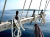Sac de nOeuds - (c) 2010 OuiLeO.cOm