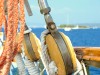 Corail - (c) 2010 OuiLeO.cOm