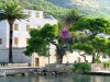 BougAinviolet - (c) 2010 OuiLeO.cOm