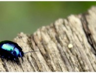 Au gré des voyages - Printemps été comme hiver - La vie Bleu Blanc Vert ... 