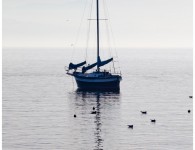 Chaque ombre parle à ceux qui sont présents, et a tant à raconter que le badaud qui offre un instant d'attention à ces âmes lacustre est retenu prisonnier le temps d'un long, très long voyage intérieur ... sans passé ni présent. Un goût d'éternité ...