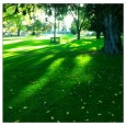 Senteur d’autOmne Le soleil livre encore mille couleurs et l'air toujours tiède nous offre un dernier souffle d'été !!!