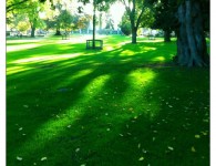 Senteur d’autOmne Le soleil livre encore mille couleurs et l'air toujours tiède nous offre un dernier souffle d'été !!!