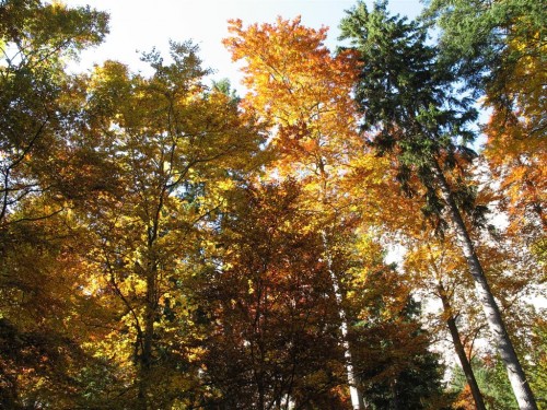 Mille et Une cOuleur - (c) OuiLeO.cOm Mille et Une cOuleur - (c) OuiLeO.cOm