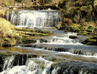 Les cascAdes du HérissOn Sous le dôme d'un chapiteau coloré, imaginez une boule de pics qui s'élance dans le vide, pendu à un trapèze ...