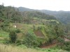 Madère - trOpicana - (c) 2008 OuiLeO.cOm