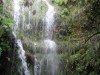 Madère - Retour du chaudrOn vert - (c) 2008 OuiLeO.cOm
