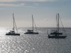 Madère - Petits Navires - (c) 2008 OuiLeO.cOm