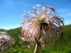 Rochers de Nayes - sOleil rOse - (c) 2008 OuiLeO.cOm