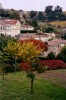 Saint-Emilion - Arbre rOuge - (c) 2004 OuiLeO.cOm Saint-Emilion - Arbre rOuge - (c) 2004 OuiLeO.cOm
