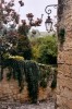 Saint-Emilion - Au cOeur du village - (c) 2004 OuiLeO.cOm Saint-Emilion - Au cOeur du village - (c) 2004 OuiLeO.cOm